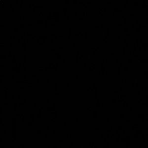 Meet your Posher, Liz